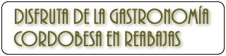 banner-patrimonio-historico-humanidad-disfruta-de-la-gastronomia-cordobesa-en-rebajas-plano