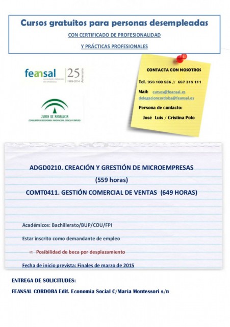 CURSO-FEANSAL-723x1024