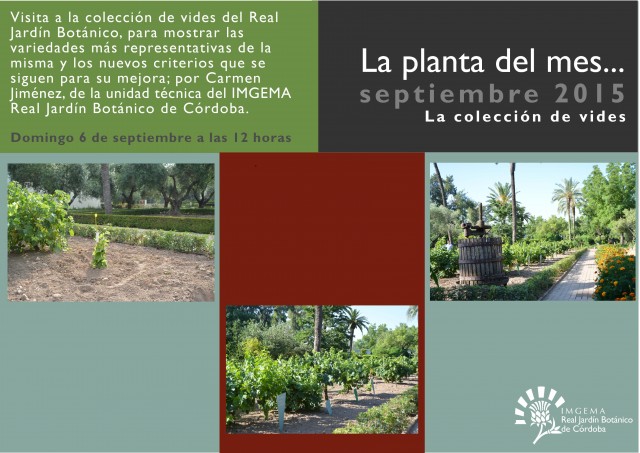 planta-del-mes-de-septiembre