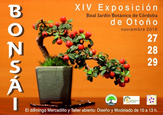 Cartel-exposicion-bonsais-01