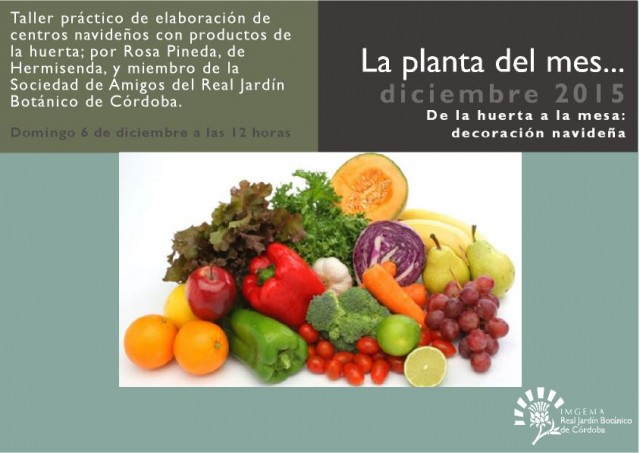 planta-del-mes-de-diciembre1