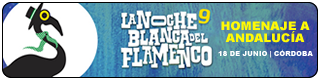 Banner-IX-noche-blanca-del-flamenco-2016-cordoba-Plano