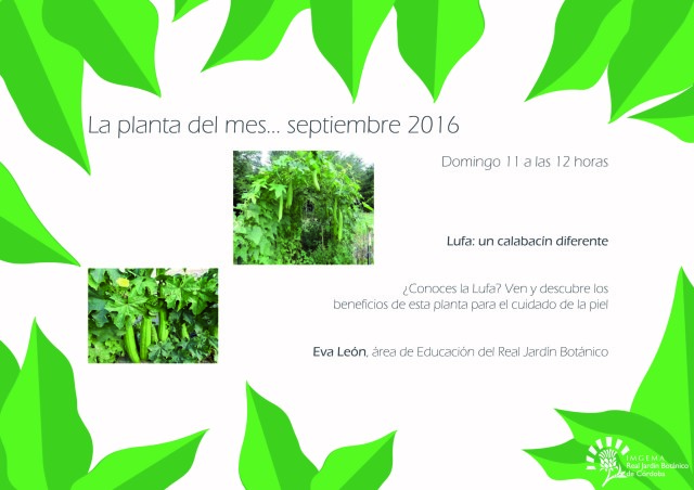 planta-del-mes-de-septiembre-01