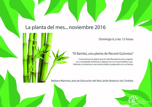 planta-del-mes-de-noviembre-01