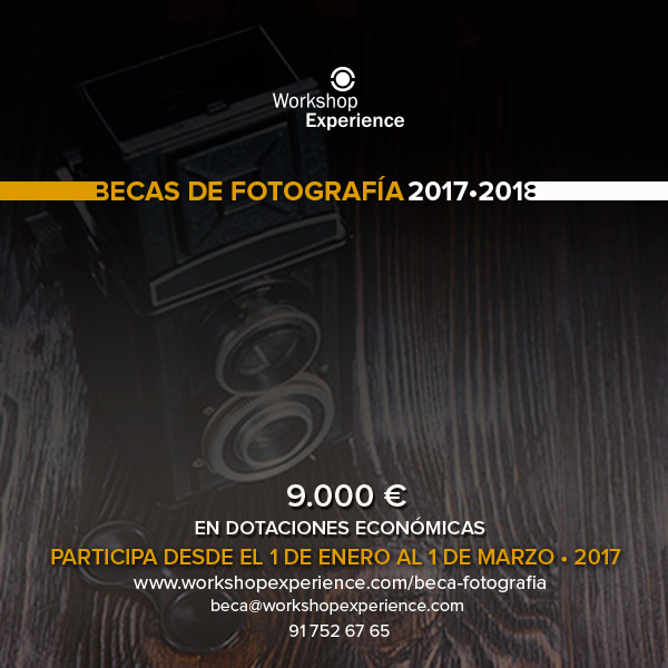 grafica-becas-FOTOGRAFIA-2017-2018