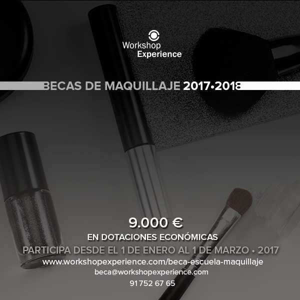 grafica-becas-MAKE-UP-2017-2018