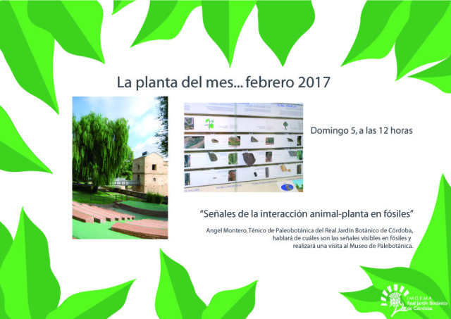 planta-del-mes-de-febrero-2017-01-1