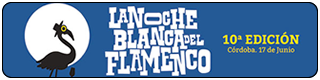 Banner-X-noche-blanca-del-flamenco-2017-cordoba-Plano