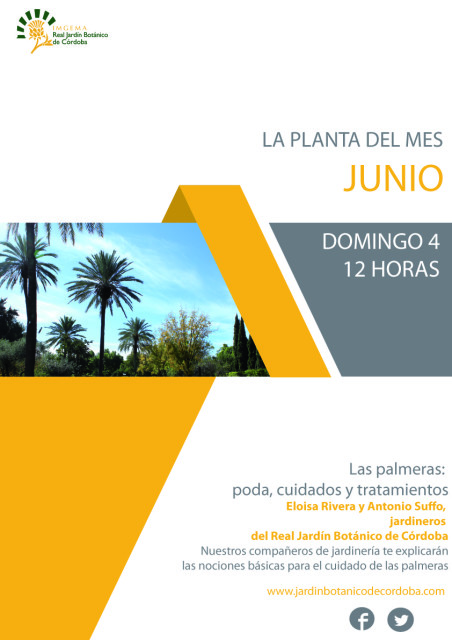 La-planta-del-mes-de-junio-01