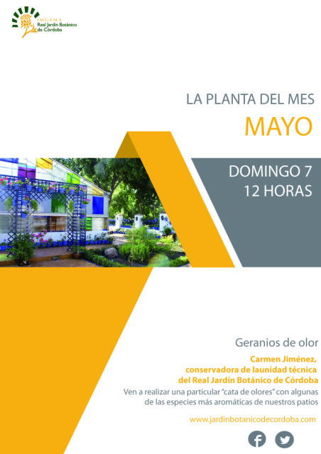 La-planta-del-mes-de-mayo-01