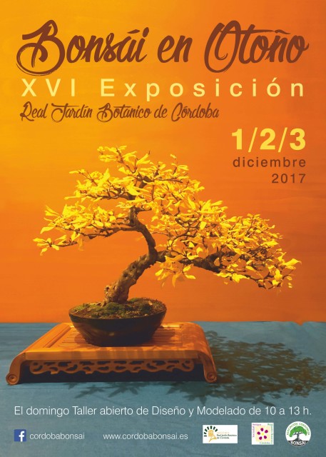 Cartel-exposicion-bonsais