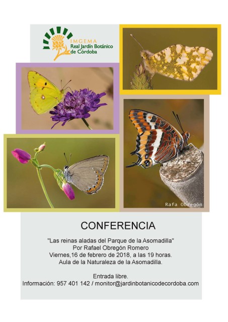 Cartel-conferencia-mariposas-en-la-Asomadilla-1