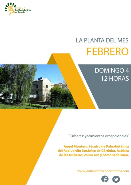 La-planta-del-mes-de-febrero-2018