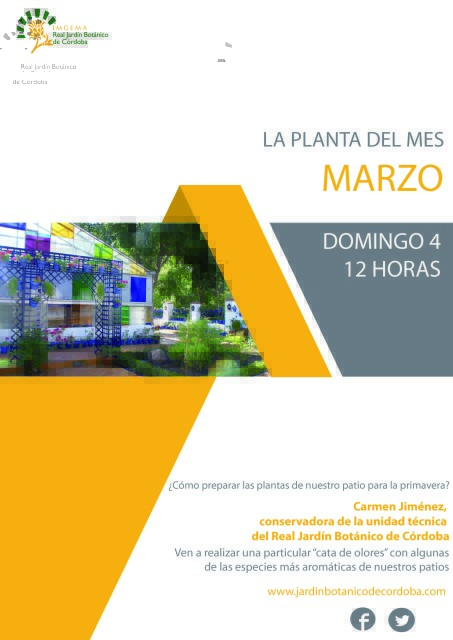 La-planta-del-mes-de-marzo
