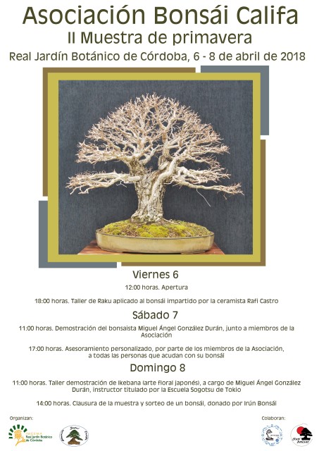 Cartel-muestra-bonsai