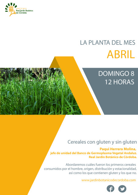 La-planta-del-mes-abril-1